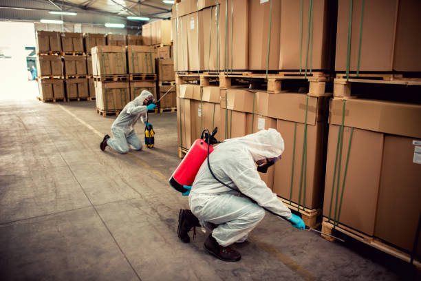 Best Commercial Pest Control Services  in Plainview, TN