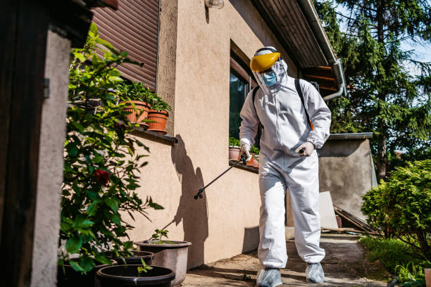 Best Wasp Removal Services  in Plainview, TN