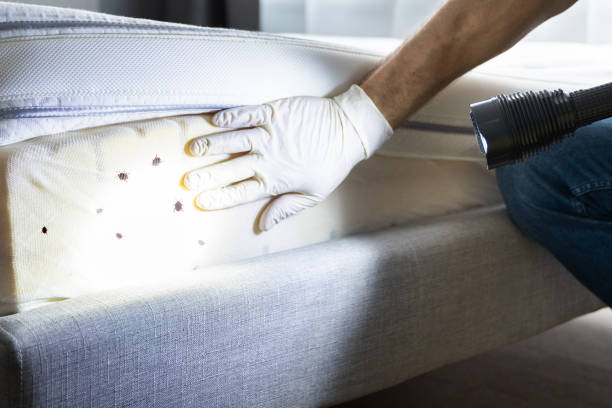 Professional Pest Control in Plainview, TN