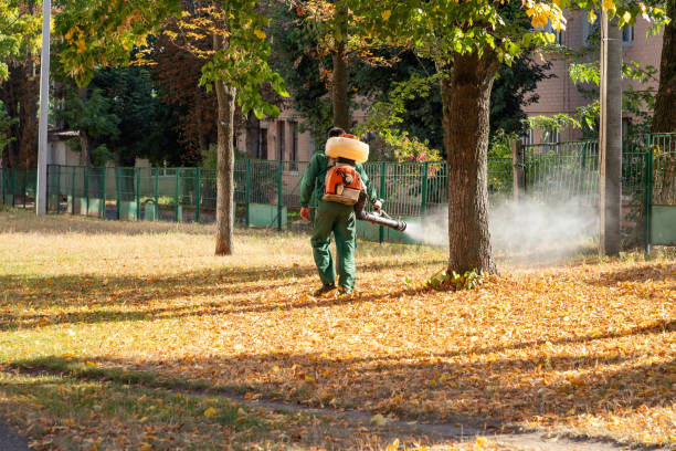 Best Commercial Pest Control Services  in Plainview, TN